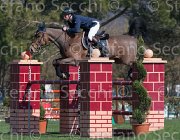 Umnus Nesquik TosTour2013- S5 2135 : Arezzo, Arezzo Equestrian Centre, Toscana Tour 2013, Umnus Roger_LB Nesquik, foto di Stefano Secchi ©