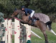 Umnus Nesquik TosTour2013- S5 2136 : Arezzo, Arezzo Equestrian Centre, Toscana Tour 2013, Umnus Roger_LB Nesquik, foto di Stefano Secchi ©