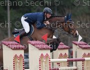Umnus Nesquik TosTour 2013- S4 7043 : Arezzo Equestrian Centre, LB Nesquik, Toscana Tour 2013, Umnus Roger, foto di Stefano Secchi ©