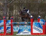 Verhagen Willemijn TosTour 2013- S5 7347 : Arezzo Equestrian Centre, Toscana Tour 2013, Verhagen Charlotte, foto di Stefano Secchi ©, willemijn HI