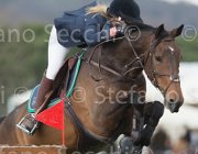 Verhagen Willemijn TosTour 2013- S5 7357 : Arezzo Equestrian Centre, Toscana Tour 2013, Verhagen Charlotte, foto di Stefano Secchi ©, willemijn HI