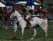 Vizzini Romie TosTour2013- S5 2329 : Arezzo, Arezzo Equestrian Centre, Romie, Toscana Tour 2013, Vizzini Lucia, foto di Stefano Secchi ©