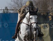 Vizzini Romie TosTour 2013- S5 3284 : Arezzo Equestrian Centre, Romie, Toscana Tour 2013, Vizzini Lucia, foto di Stefano Secchi ©