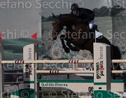 Weishaupt Casall TosTour 2013- S5 3405 : Arezzo Equestrian Centre, Casall, Toscana Tour 2013, Weishaupt Maximilian, foto di Stefano Secchi ©
