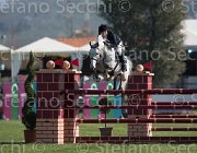 WhitackerG Wesselton TosTour2013- S5 1992 : Arezzo, Arezzo Equestrian Centre, Toscana Tour 2013, Wesselton M, Whitacker George, foto di Stefano Secchi ©