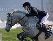 WhitackerG Wesselton TosTour2013- S5 1994 : Arezzo, Arezzo Equestrian Centre, Toscana Tour 2013, Wesselton M, Whitacker George, foto di Stefano Secchi ©