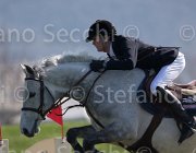 WhitackerG Wesselton TosTour2013- S5 1995 : Arezzo, Arezzo Equestrian Centre, Toscana Tour 2013, Wesselton M, Whitacker George, foto di Stefano Secchi ©