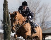 WhitackerW Brilliant TosTour2013- S5 2001 : Arezzo, Arezzo Equestrian Centre, Glenavadra Brilliant, Toscana Tour 2013, Whitacker William, foto di Stefano Secchi ©