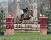 Witteboon Question TosTour 2013- S4 6873 : Arezzo Equestrian Centre, Question St Loise, Toscana Tour 2013, Witteboon Talissa, foto di Stefano Secchi ©