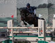 Zamana Quinam TosTour 2013- S5 3341 : Arezzo Equestrian Centre, Quinam des Etisses, Toscana Tour 2013, Zamana Matteo, foto di Stefano Secchi ©