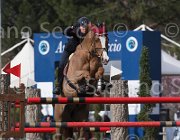 Zorzetto Villeneuve TosTour 2013- S5 7444 : Arezzo Equestrian Centre, Toscana Tour 2013, Villeneuve, Zorzetto Eleonora, foto di Stefano Secchi ©
