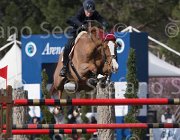 Zorzetto Villeneuve TosTour 2013- S5 7445 : Arezzo Equestrian Centre, Toscana Tour 2013, Villeneuve, Zorzetto Eleonora, foto di Stefano Secchi ©