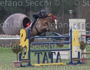 Zorzetto Villeneuve TosTour 2013- S5 7775 : Arezzo Equestrian Centre, Toscana Tour 2013, Villeneuve, Zorzetto Eleonora, foto di Stefano Secchi ©