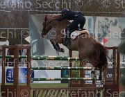 Zorzetto Villeneuve TosTour 2013- S5 7779 : Arezzo Equestrian Centre, Toscana Tour 2013, Villeneuve, Zorzetto Eleonora, foto di Stefano Secchi ©