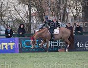 Zorzetto Villeneuve TosTour 2013- S5 7790 : Arezzo Equestrian Centre, Toscana Tour 2013, Villeneuve, Zorzetto Eleonora, foto di Stefano Secchi ©