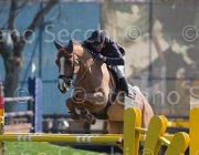 Zuvadelli Walestro TosTour2013- S5 2632 : Arezzo, Arezzo Equestrian Centre, Toscana Tour 2013, Walestro, Zuvadelli Paolo, foto di Stefano Secchi ©