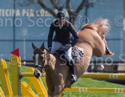 Zuvadelli Walestro TosTour2013- S5 2633 : Arezzo, Arezzo Equestrian Centre, Toscana Tour 2013, Walestro, Zuvadelli Paolo, foto di Stefano Secchi ©