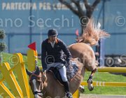 Zuvadelli Walestro TosTour2013- S5 2635 : Arezzo, Arezzo Equestrian Centre, Toscana Tour 2013, Walestro, Zuvadelli Paolo, foto di Stefano Secchi ©