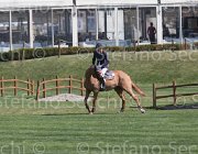 Zuvadelli Walestro TosTour2013- S5 2640 : Arezzo, Arezzo Equestrian Centre, Toscana Tour 2013, Walestro, Zuvadelli Paolo, foto di Stefano Secchi ©