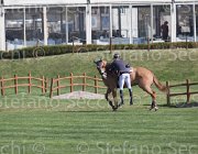 Zuvadelli Walestro TosTour2013- S5 2642 : Arezzo, Arezzo Equestrian Centre, Toscana Tour 2013, Walestro, Zuvadelli Paolo, foto di Stefano Secchi ©
