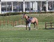 Zuvadelli Walestro TosTour2013- S5 2643 : Arezzo, Arezzo Equestrian Centre, Toscana Tour 2013, Walestro, Zuvadelli Paolo, foto di Stefano Secchi ©
