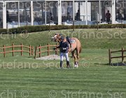 Zuvadelli Walestro TosTour2013- S5 2644 : Arezzo, Arezzo Equestrian Centre, Toscana Tour 2013, Walestro, Zuvadelli Paolo, foto di Stefano Secchi ©