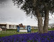 Zuvadelli Walestro TosTour 2013- S4 7222 : Arezzo Equestrian Centre, Toscana Tour 2013, Walestro, Zuvadelli Paolo, foto di Stefano Secchi ©