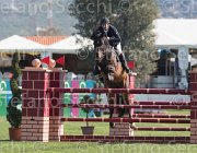 NN TosTour2013- S5 2033 : Arezzo, Arezzo Equestrian Centre, Toscana Tour 2013, foto di Stefano Secchi ©, nn