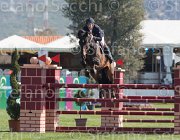 NN TosTour2013- S5 2034 : Arezzo, Arezzo Equestrian Centre, Toscana Tour 2013, foto di Stefano Secchi ©, nn