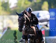 Argentano Venuzs Giovanili2013  S5 5101 : Arezzo Equestrian Centre, Argentano Lorenzo, Venuzs, foto di Stefano Secchi ©. Campionati Italiani Giovanili 2013