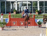 Bruneau Obelia Giovanili2013  S5 5558 : Arezzo Equestrian Centre, Bruneau Louly Jo, Obelia, foto di Stefano Secchi ©. Campionati Italiani Giovanili 2013