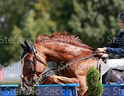 Carovini Balougra Giovanili2013  S5 4706 : Arezzo Equestrian Centre, Balougra, Carovini Biagio, foto di Stefano Secchi ©. Campionati Italiani Giovanili 2013
