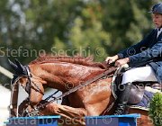 Carovini Balougra Giovanili2013  S5 4707 : Arezzo Equestrian Centre, Balougra, Carovini Biagio, foto di Stefano Secchi ©. Campionati Italiani Giovanili 2013