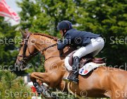 DILASSER OBIWAN LaBaule2013- S5 5806 : 2013, DILASSER MARC, La Baule, OBIWAN DE PILIERE, foto di Stefano Secchi ©