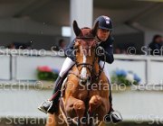 DILASSER OBIWAN LaBaule2013- S5 5807 : 2013, DILASSER MARC, La Baule, OBIWAN DE PILIERE, foto di Stefano Secchi ©
