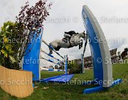 KAWIAK CENTINO LaBaule2013- S4 0820 : 2013, CENTINO DU RY, KAWIAK IGOR, La Baule, foto di Stefano Secchi ©