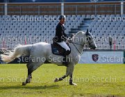 ROBERT NENUPHAR LaBaule2013- S5 5224 : 2013, La Baule, NENUPHAR'JAC, ROBERT MICHEL, foto di Stefano Secchi