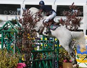 ROBERT NENUPHAR LaBaule2013- S5 5239 : 2013, La Baule, NENUPHAR'JAC, ROBERT MICHEL, foto di Stefano Secchi