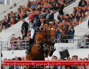 STHULMEIER LORD LaBaule2013- S5 8826 : 2013, LORD LOHENGRIN, La Baule, STUHLMEIER PATRICK, foto di Stefano Secchi ©