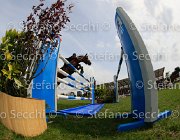 STUHLMEIER LORD LaBaule2013- S4 0697 : 2013, LORD LOHENGRIN, La Baule, STUHLMEIER PATRICK, foto di Stefano Secchi ©