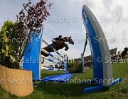 STUHLMEIER LORD LaBaule2013- S4 0698 : 2013, LORD LOHENGRIN, La Baule, STUHLMEIER PATRICK, foto di Stefano Secchi ©