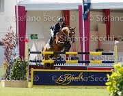 STUHLMEIER LORD LaBaule2013- S4 9277 : 2013, LORD LOHENGRIN, La Baule, STUHLMEIER PATRICK, foto di Stefano Secchi