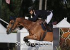 Ciardullo_Gyoioso_CsioRoma2014_SS7_9874.jpg : CIARDULLO ANTONIO, CSIO Roma 2014, GYOIOSO, Stefano Secchi ©