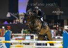 _S5_6659.jpg : Alertkapade, Bresciani Gabriele, Jumping Parma 2013, foto di Stefano Secchi ©