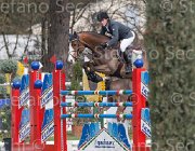 Cameron Antello TosTour 2013- S4 6527 : Antello Z, Arezzo Equestrian Centre, Hanley Cameron, Toscana Tour 2013, foto di Stefano Secchi ©