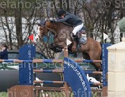 Cameron Antello TosTour 2013- S4 6538 : Antello Z, Arezzo Equestrian Centre, Hanley Cameron, Toscana Tour 2013, foto di Stefano Secchi ©