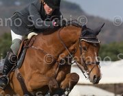 Cameron Newton TosTour 2013- S5 7482 : Arezzo Equestrian Centre, Hanley Cameron, Newton, Toscana Tour 2013, foto di Stefano Secchi ©