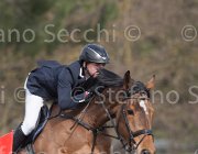 Puschak Aluta TosTour 2013- S4 6436 : Aluta, Arezzo Equestrian Centre, Puschak Wolfang, Toscana Tour 2013, foto di Stefano Secchi ©