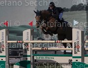 Puschak Boris TosTour 2013- S5 3386 : Arezzo Equestrian Centre, Boris, Puschak Wolfang, Toscana Tour 2013, foto di Stefano Secchi ©