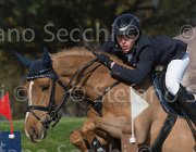 Puschak Boris TosTour 2013- S5 3392 : Arezzo Equestrian Centre, Boris, Puschak Wolfang, Toscana Tour 2013, foto di Stefano Secchi ©